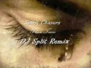 Spiritchaser - These Tears (DJ Split Amapiano Remix)